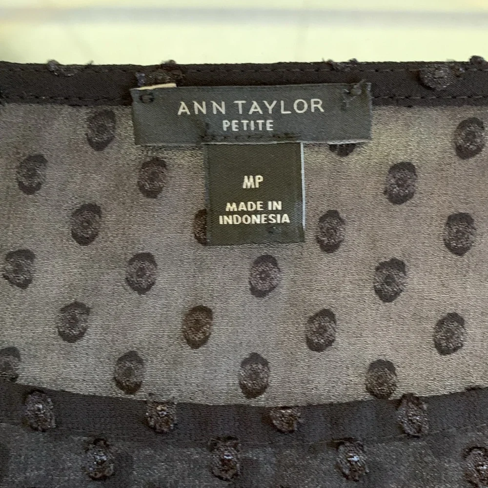 Ann Taylor Sheer Polka Dot Top Size MP - Picture 7 of 16